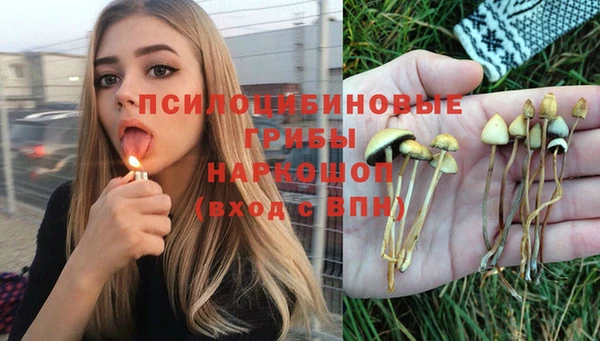 мяу мяу кристалл Гусиноозёрск