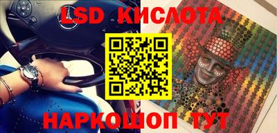 прущие грибы Апшеронск
