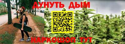 сатива Апшеронск