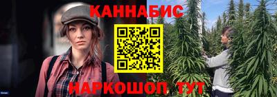 сатива Апшеронск