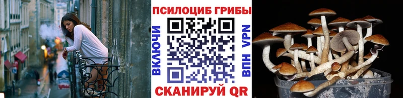 Галлюциногенные грибы Cubensis  darknet как зайти  Балахна  как найти наркотики 